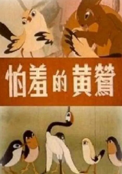 懂色视频